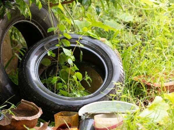 Dengue: cronograma de la Campa&ntilde;a de Descacharreo en La Falda
