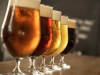 Se viene la Fiesta de la Cerveza Artesanal en Villa Giardino