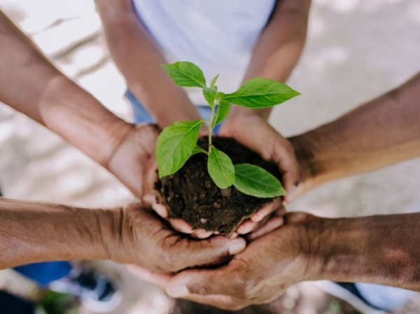 Inicia ciclo de charlas virtuales por el Mes de la Conciencia Ambiental