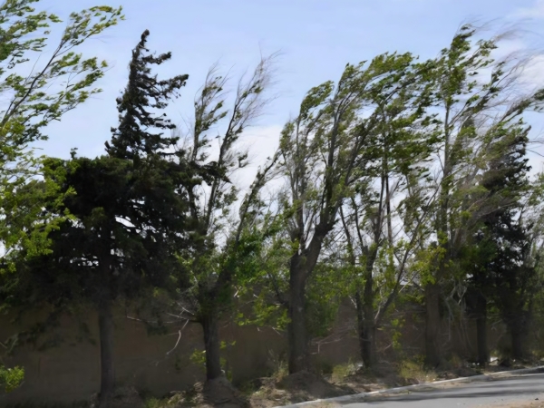 Está vigente una alerta por vientos intensos en Punilla