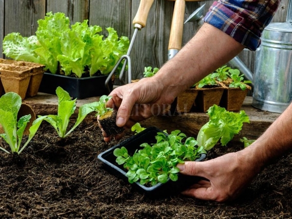 Se realizar&aacute; un taller de huertas familiares en Huerta Grande
