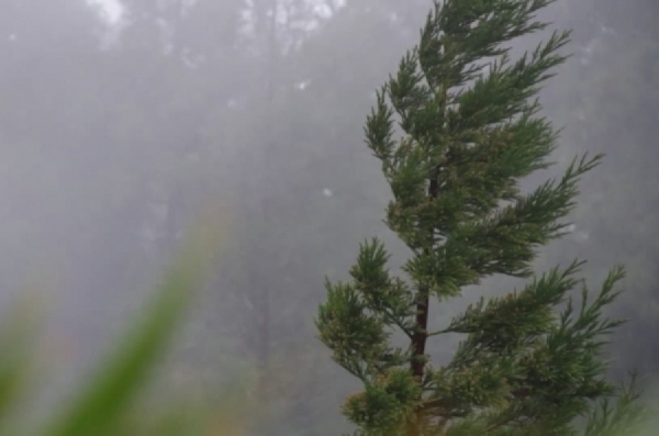 Est&aacute; vigente una Alerta por vientos fuertes en Punilla