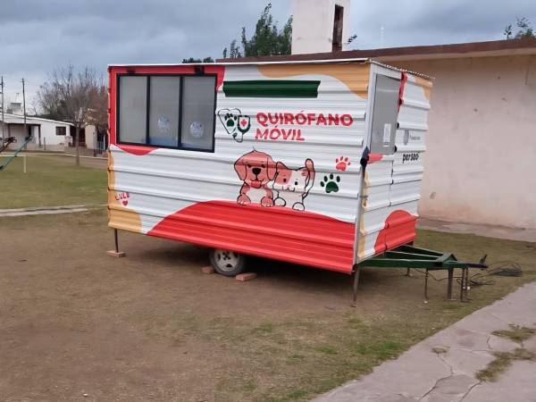 Valle Hermoso: primera jornada de castraciones en el Quir&oacute;fano M&oacute;vil de Salud Animal