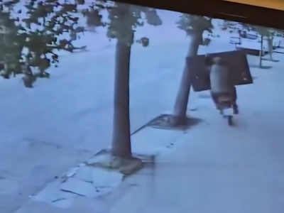 Robaron un televisor, huyeron en moto y terminaron chocando contra un &aacute;rbol