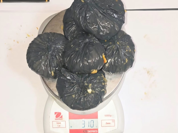 Intent&oacute; llevar empanadas rellenas con droga a un preso en la C&aacute;rcel de Cruz del Eje