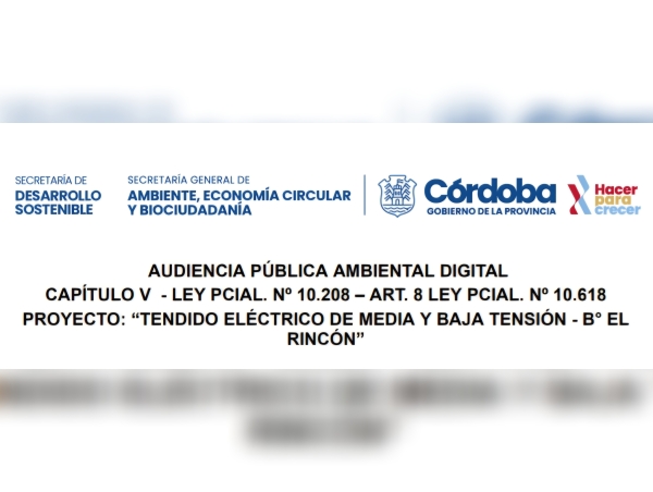Convocan a una Audiencia P&uacute;blica Ambiental Digital por un proyecto de tendido el&eacute;ctrico en Valle Hermoso