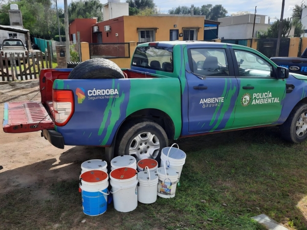 Rescatan fauna silvestre en domicilios de La Falda y otras localidades de Punilla