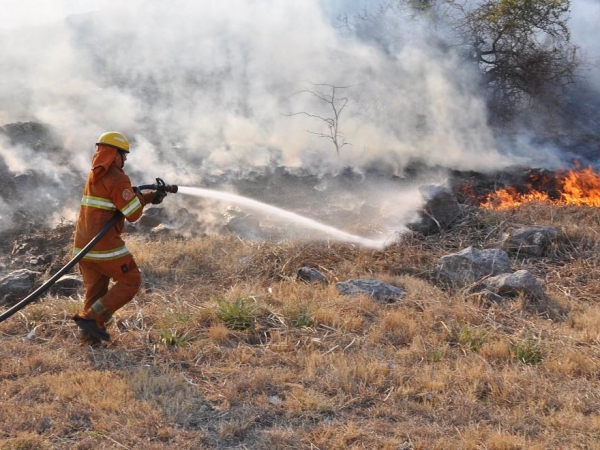 Hasta el domingo rige un alerta de riesgo de incendio EXTREMO en toda la provincia