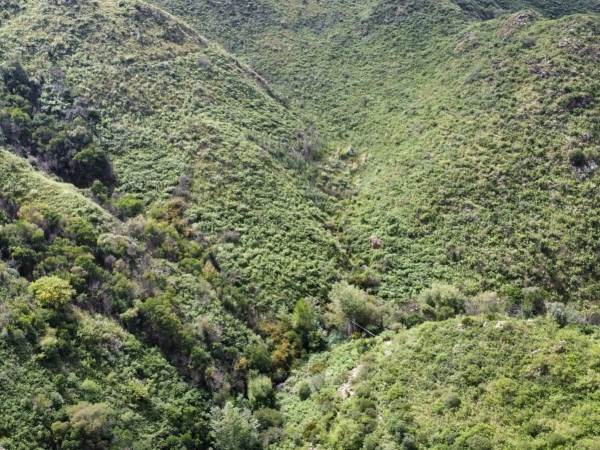 Con ayuda del dron de Prevenci&oacute;n Ciudadana, rescataron a una persona del Cerro La Banderita