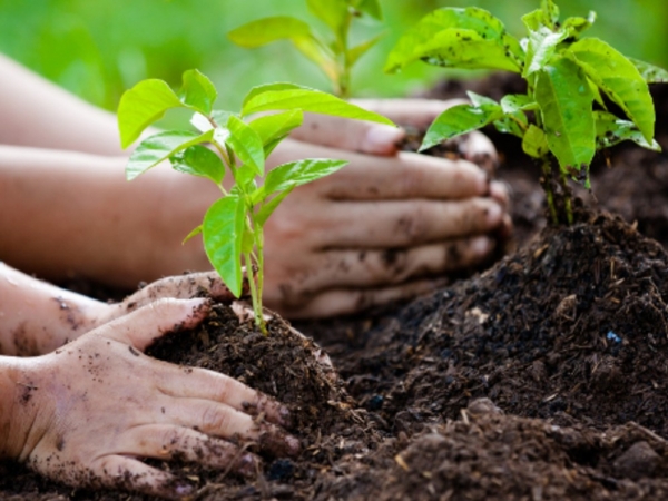 Se viene una nueva jornada de canje por compost en Villa Giardino