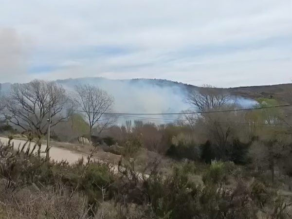 Bomberos lograron contener un incendio forestal en Villa Giardino