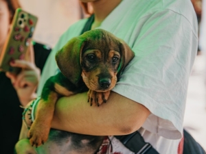 La Falda: brindar&aacute;n una charla abierta sobre tenencia responsable de mascotas