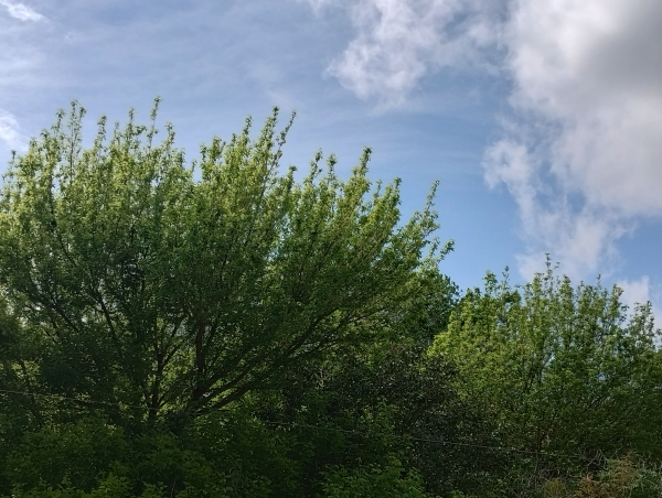 Jueves h&uacute;medo, ventoso y con altas temperaturas en Punilla