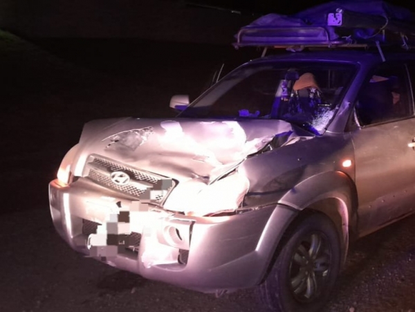 Otra vez un accidente por caballos sueltos sobre la ruta 38