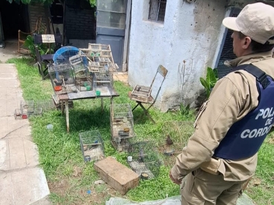 La Falda: realizaron un allanamiento por tenencia ilegal de aves silvestres y secuestraron ocho jaulas