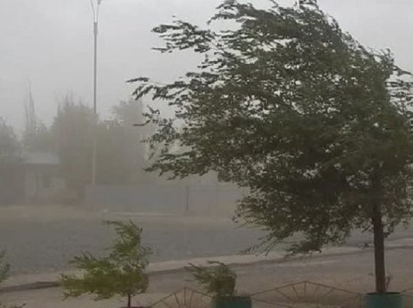 Rige un alerta por vientos fuertes en toda la provincia