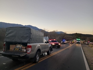 Una vaca suelta provocó un accidente en la ruta 38