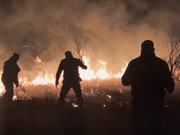 Fue extinguido un incendio de pastizales sobre ruta 38