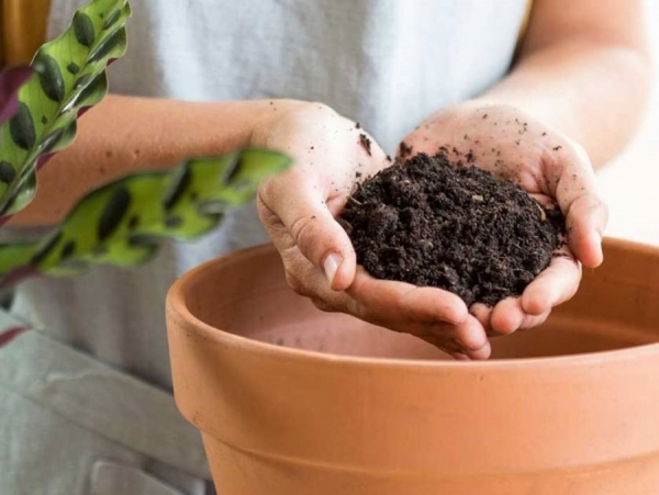 El s&aacute;bado habr&aacute; canje por compost en Villa Giardino