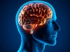 Mes del Cerebro: cambios beneficiosos en la vida cotidiana