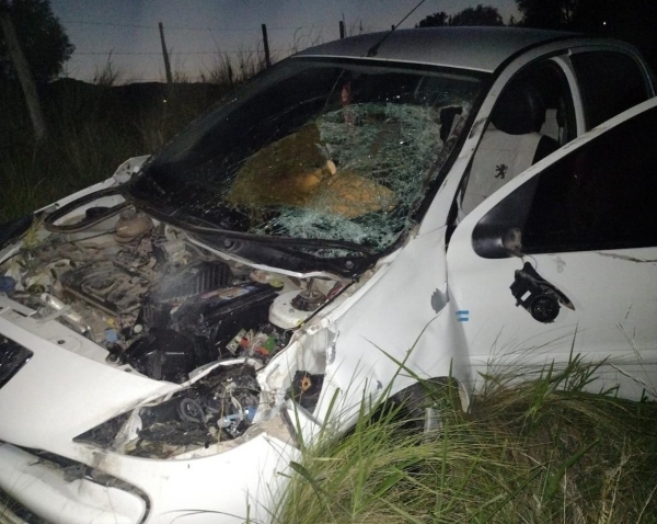 Un autom&oacute;vil choc&oacute; a una vaca sobre ruta 38