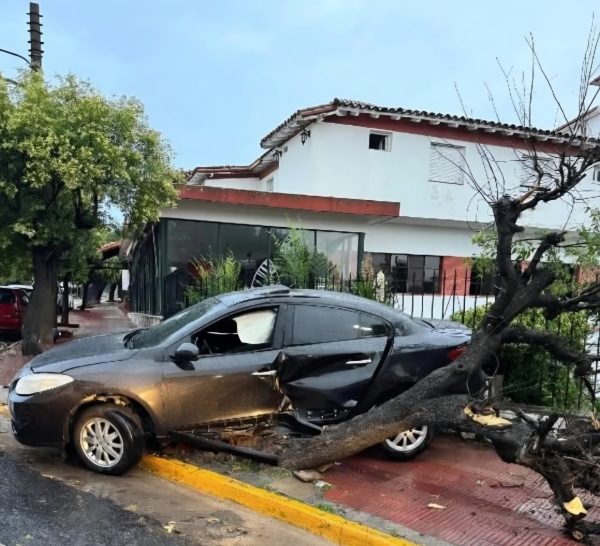 La Falda: intent&oacute; frenar su auto en el sem&aacute;foro, hizo trompo y termin&oacute; chocando contra un &aacute;rbol
