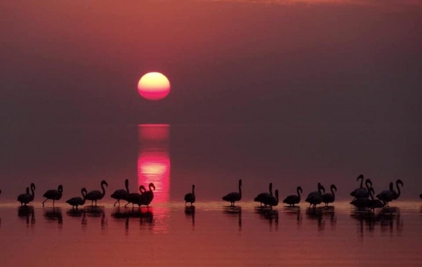 Confirmaron la creaci&oacute;n del Parque Nacional Ansenuza