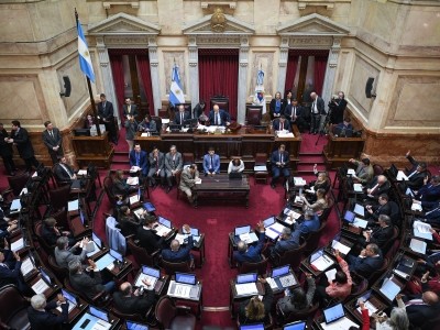 El Senado rechazó el veto de Milei a la emergencia en discapacidad