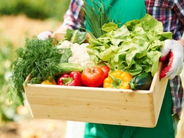 Se dictar&aacute; en Valle Hermoso el taller "El alimento en tu patio"