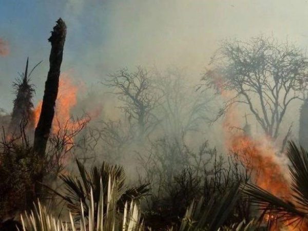 El fuego avanza en la zona de Cuchi Corral donde trabajan unos 400 bomberos