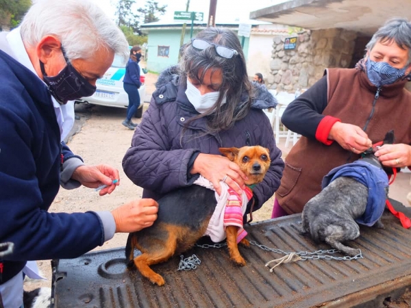 La Cumbre: se vacunaron a m&aacute;s de mil perros y gatos contra la rabia
