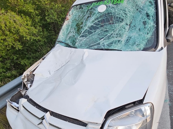 Accidente por un caballo suelto sobre ruta 38