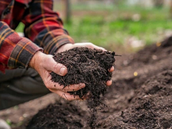 Nueva jornada de canje por compost en Villa Giardino