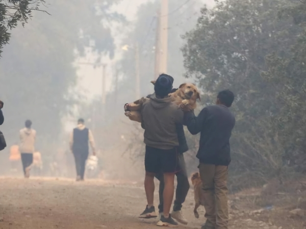 Incendios: Salud Animal de Valle Hermoso lanz&oacute; una colecta de insumos