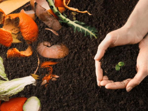 Valle Hermoso: nuevo encuentro del taller "La Huerta nos alimenta"