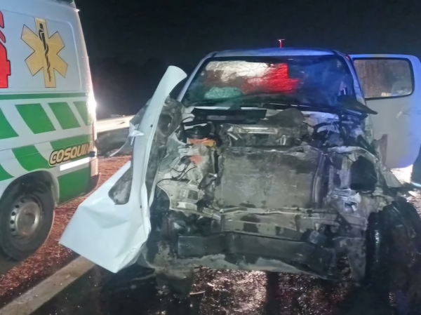 Grave accidente en la Autov&iacute;a Punilla: es el tercero en 10 d&iacute;as con animales sueltos