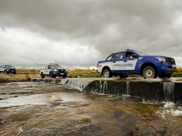 Villa Giardino: secuestran m&aacute;s de 80 kg de carne, armas y plantas de marihuana en allanamientos por abigeato