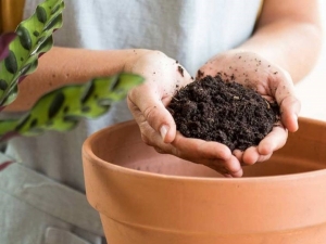 Este jueves habr&aacute; canje por compost en Villa Giardino