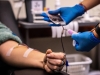 La Cooperativa Accion-ar organiza una nueva campa&ntilde;a de donaci&oacute;n de sangre en La Falda