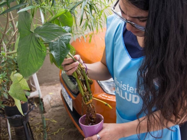 Dengue: recomiendan intensificar los cuidados por la situaci&oacute;n epidemiol&oacute;gica actual