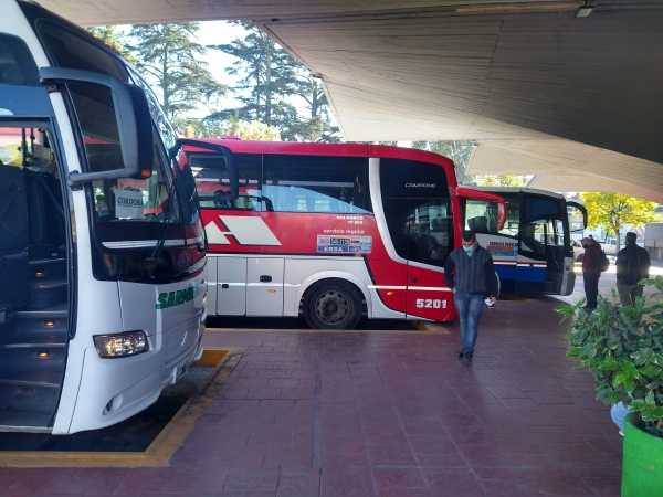 Elecciones Paso: habr&aacute; transporte interurbano gratuito para ir a votar