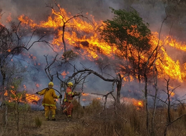 Alertan por riesgo extremo de incendios en la provincia de C&oacute;rdoba