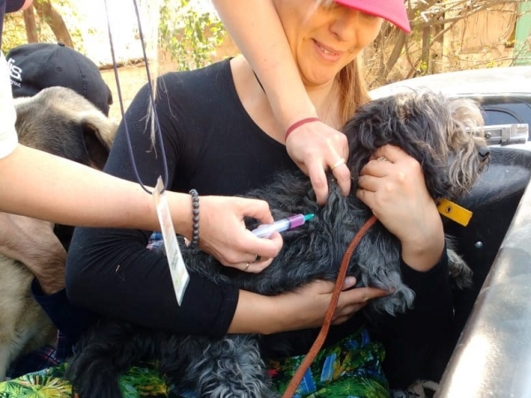 Campa&ntilde;a gratuita de vacunaci&oacute;n antirr&aacute;bica por los barrios de Valle Hermoso