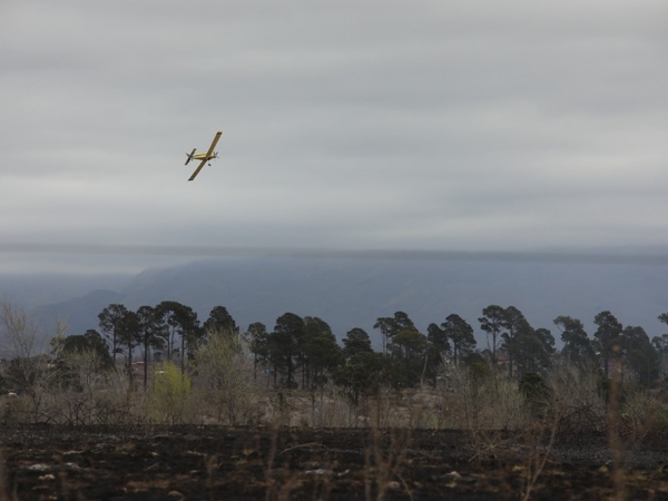Est&aacute; contenido el incendio en Icho Cruz