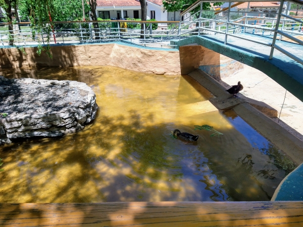 La Falda: realizan tareas de mantenimiento en el Paseo de los Patos