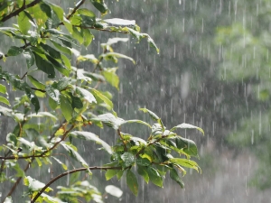 Martes con alerta por tormentas intensas en Punilla
