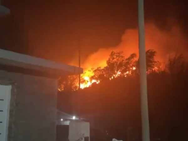 Foto: captura de video Luli Moyano