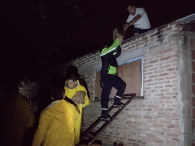 Voladuras de techos, árboles y postes caídos es el saldo del temporal ...