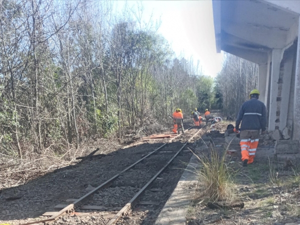 Se robaron 13 durmientes de las v&iacute;as del tren en Villa Giardino