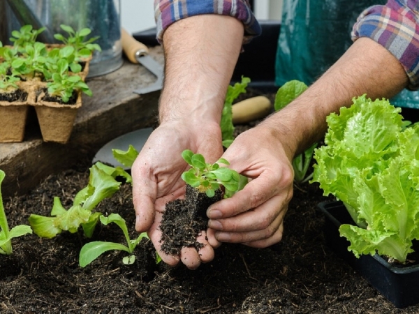 Valle Hermoso: se dictar&aacute; el taller "La huerta nos alimenta"